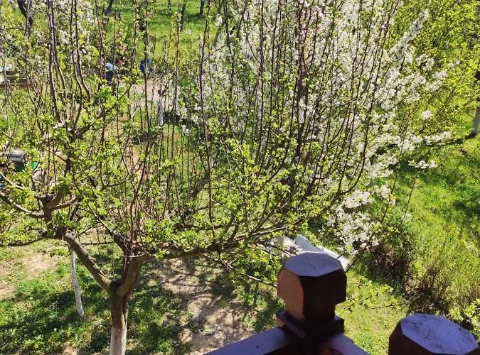 Kuca U Vrdniku 2 Апартаменты